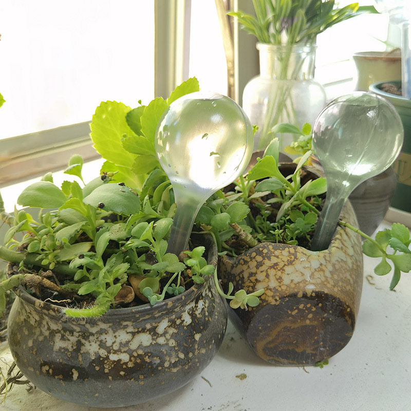 Zavlažovací koule dávkovač vody do květináče