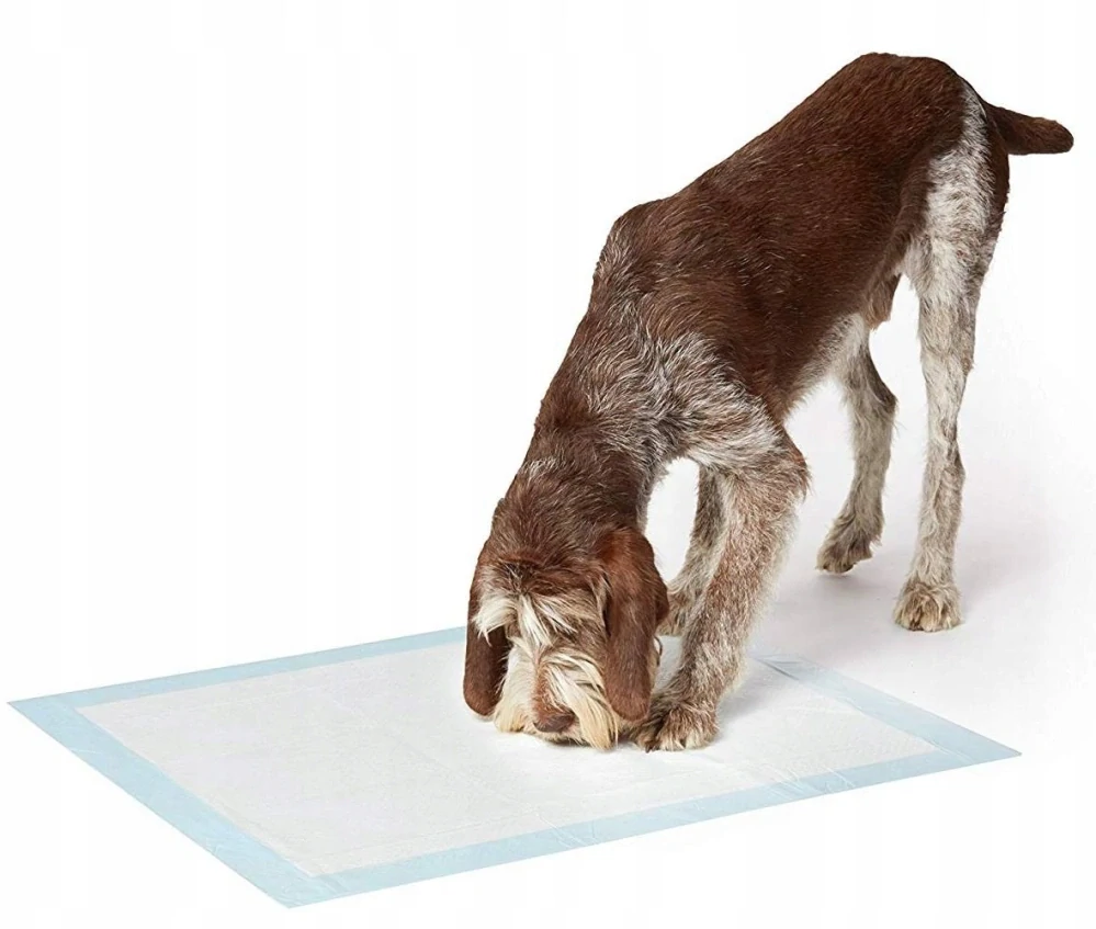 Hygienické podložky absorpční 6 vrstvé pro psy a kočky 50 ks 60x40 cm