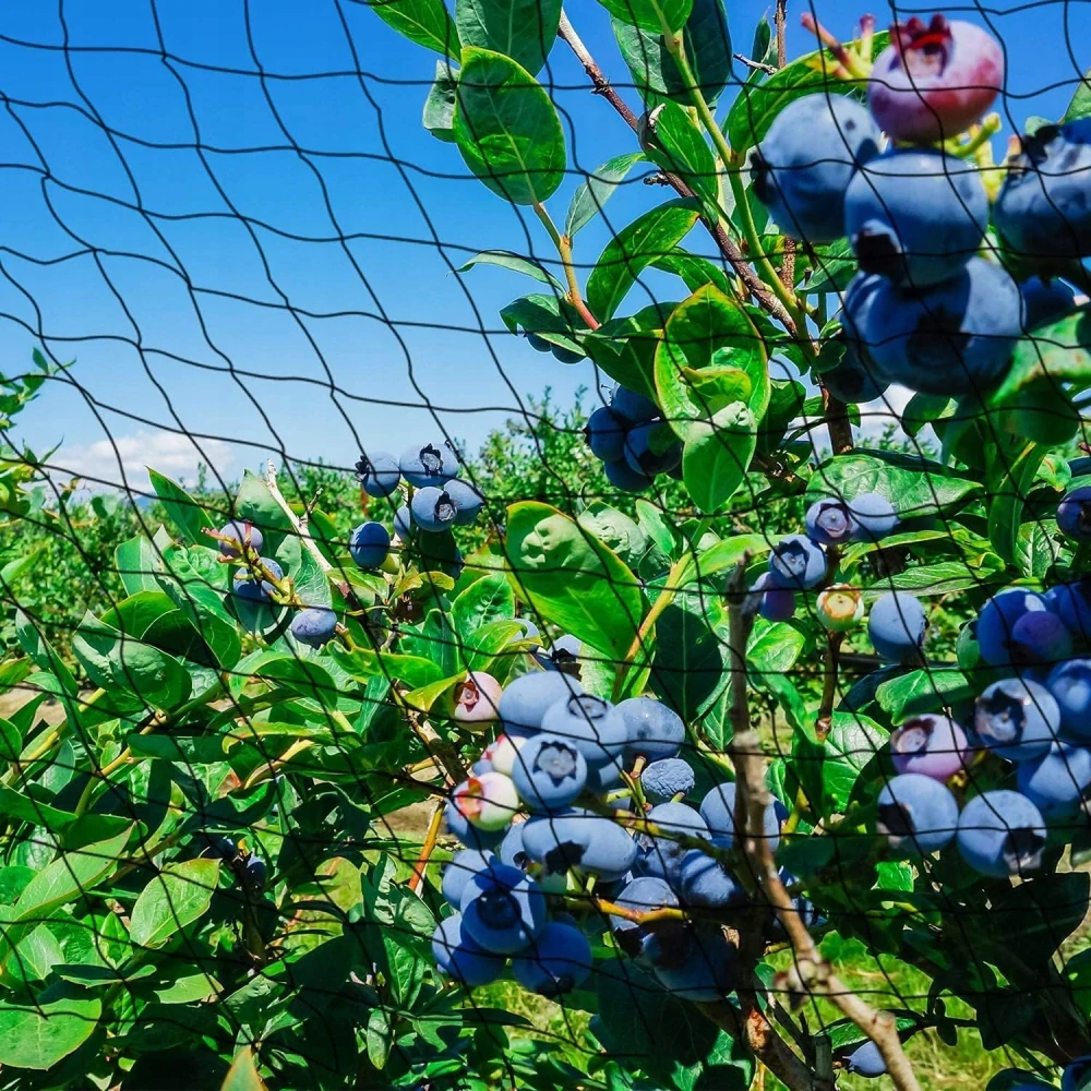 Ochranná síť protí ptákům 14x8m + kotvící kolíky