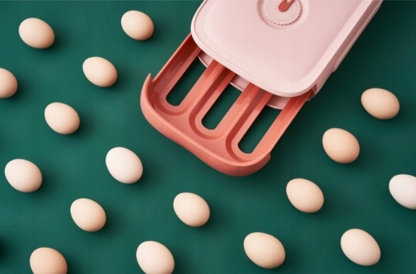 Plastový zásobník na uskladnění vajec box na vajíčka