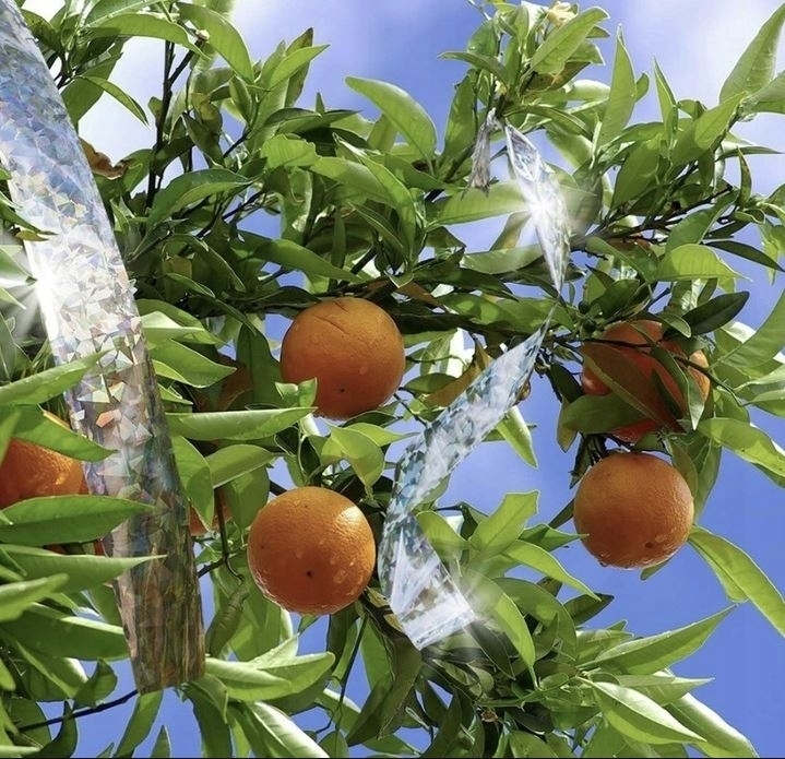 Reflexní páska proti ptákům 5cm 50m